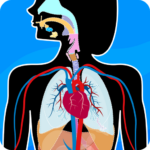 Human Anatomy Mod Apk 2024.5.0 (Unlimited Money)